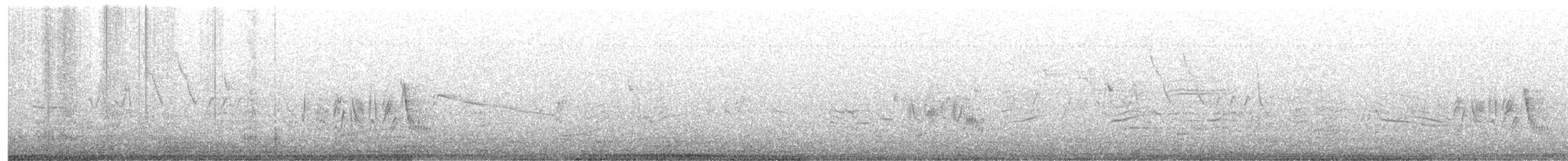Віреон короткокрилий (підвид pusillus) - ML338225471
