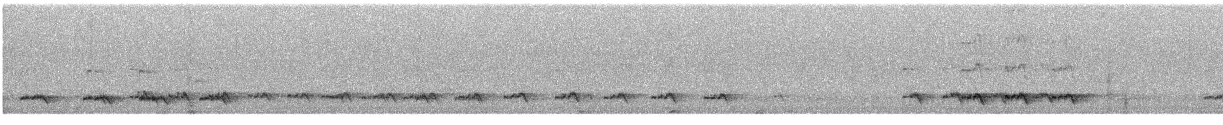 Olive Bee-eater - ML338246521