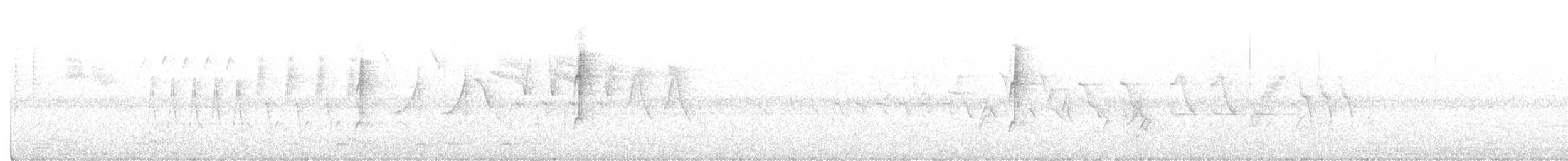 Augenring-Waldsänger - ML338288671