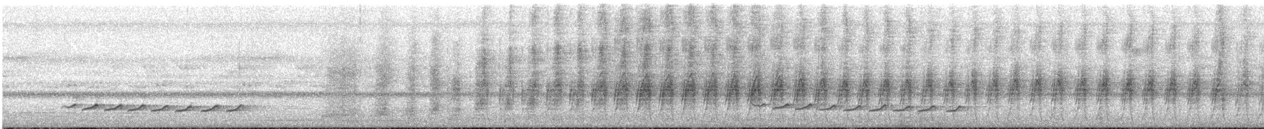 Planalto Woodcreeper - ML338380831