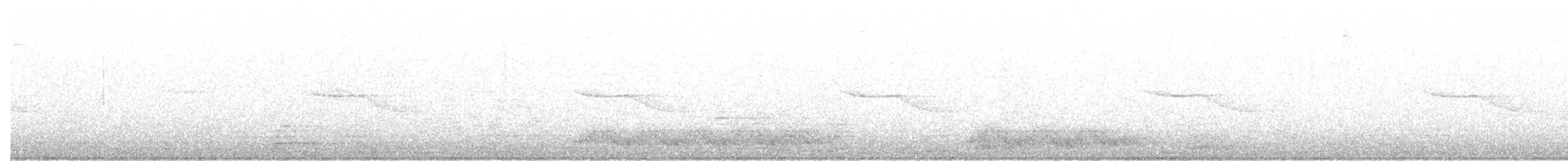 Breitspiegel-Nachtschwalbe - ML338438141
