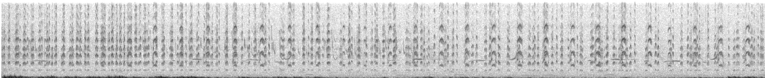 Vanneau à ailes blanches - ML338455151