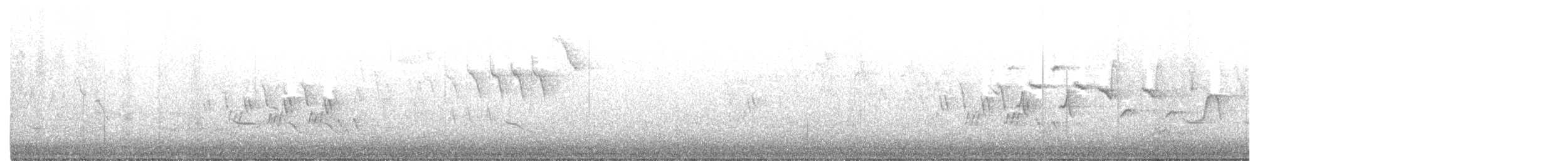 Mourning Warbler - ML338479971