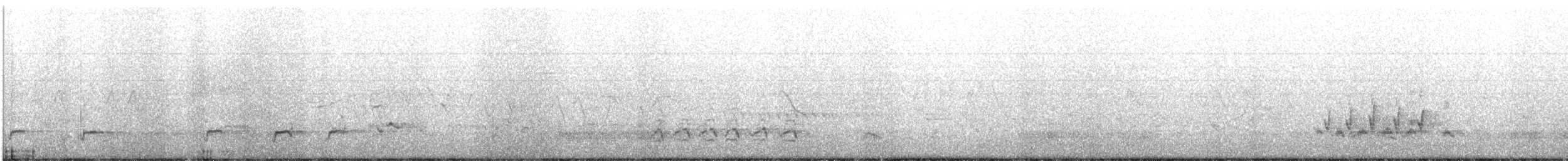 Northern Mockingbird - ML338525841