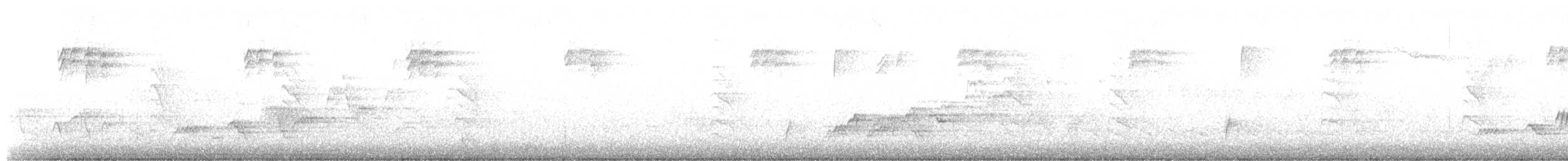 Zwergmusendrossel - ML338536801