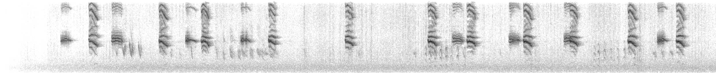 Chatham Islands Parakeet - ML338548881