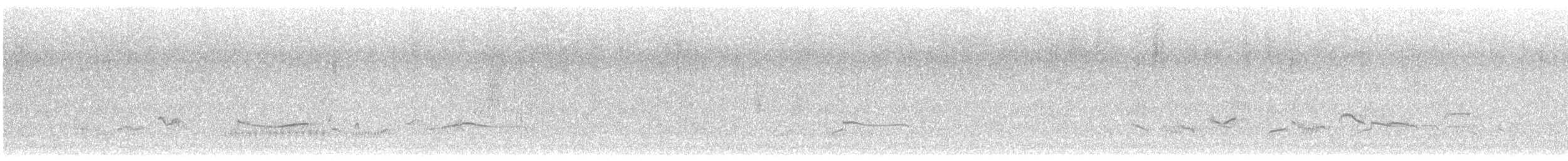 Black-bellied Plover - ML338552911