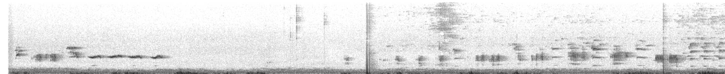 Great Reed Warbler - ML338581321