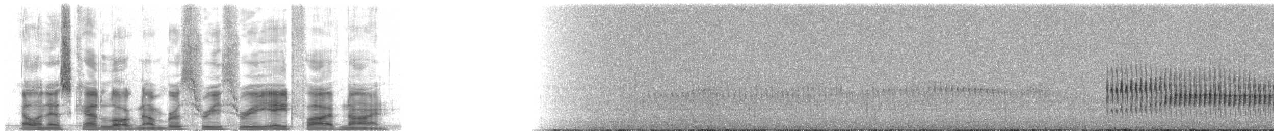 Sarımsı Madenci (jelskii/saturata) - ML33859