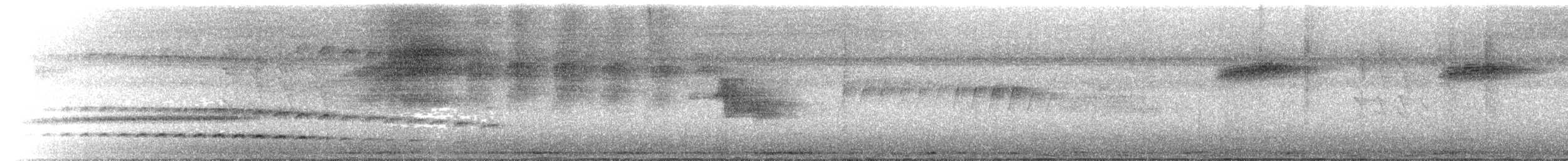 perletreløper - ML338643441