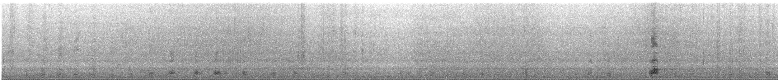 Black-crowned Night Heron - ML338710631
