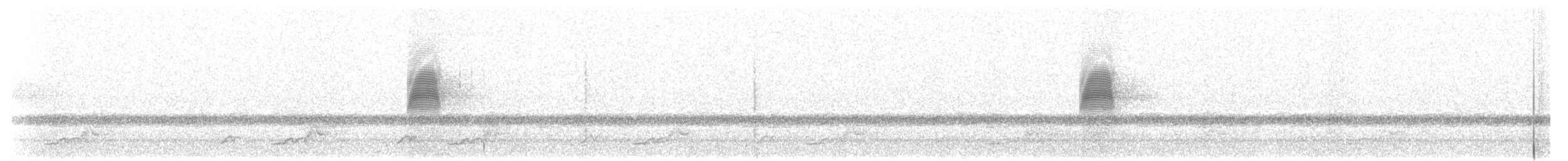 Schwarzkehl-Nachtschwalbe - ML338815971