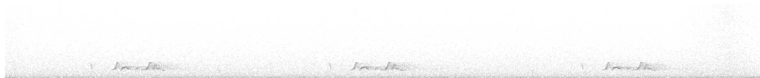 Carolinanachtschwalbe - ML338823561