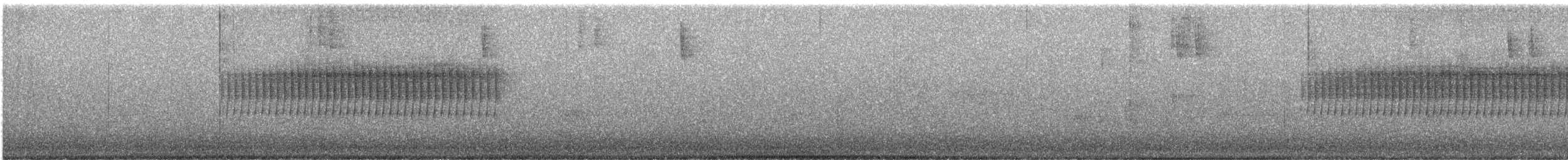 Юнко сірий [група oreganus] - ML338837581