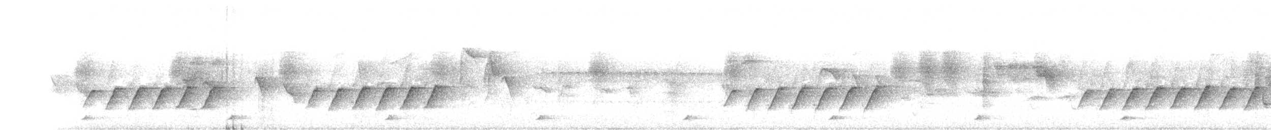 Монаршик гіацинтовий - ML338855251