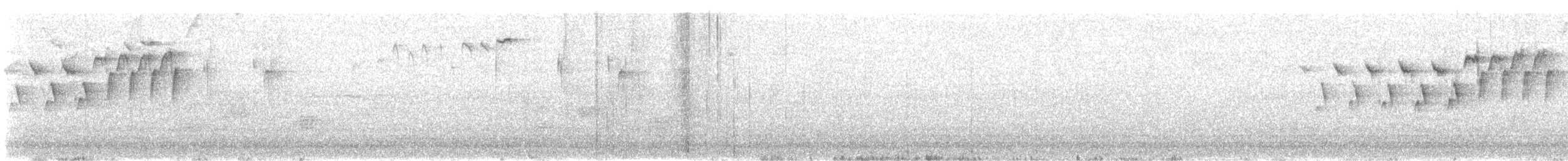 new world warbler sp. - ML338863711