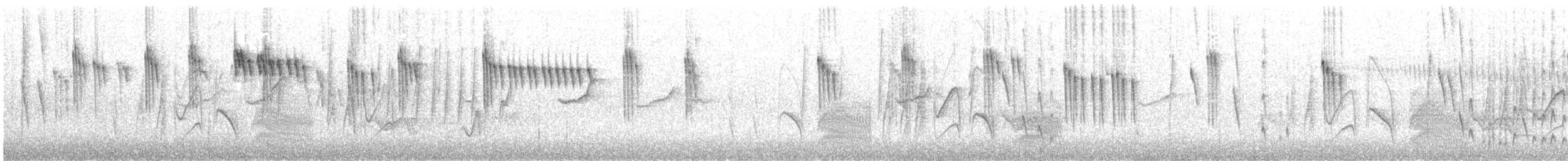 Orite à gorge blanche - ML338886311