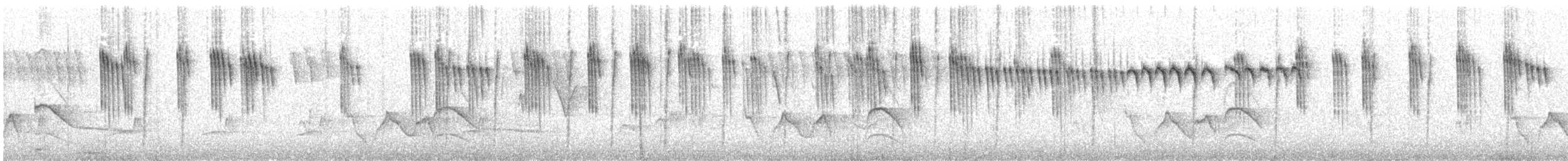 Orite à gorge blanche - ML338886481