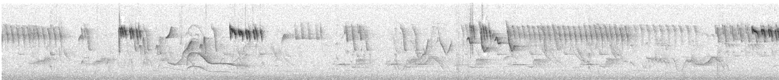 Orite à gorge blanche - ML338886741