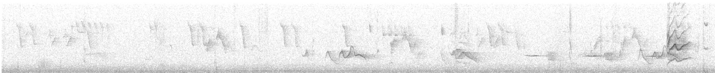 Orite à gorge blanche - ML338886801