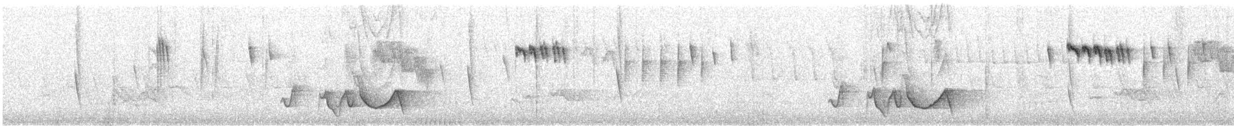 Orite à gorge blanche - ML338886811