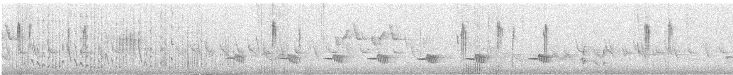 Orite à gorge blanche - ML338888701