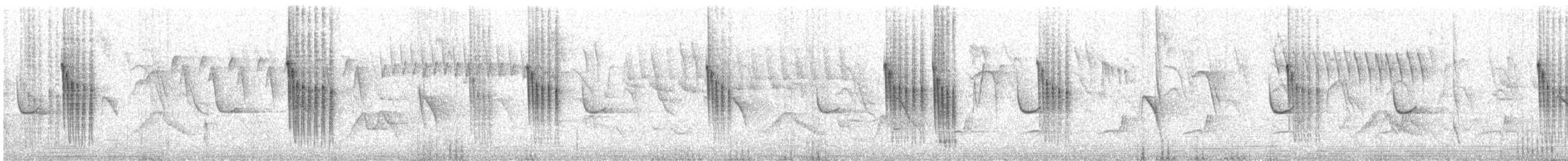 Orite à gorge blanche - ML338888741