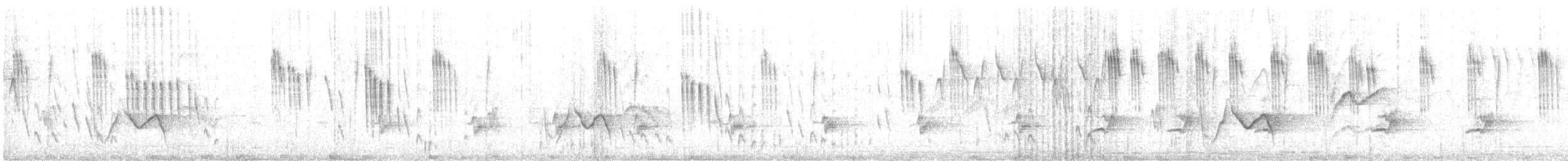 Orite à gorge blanche - ML338889451