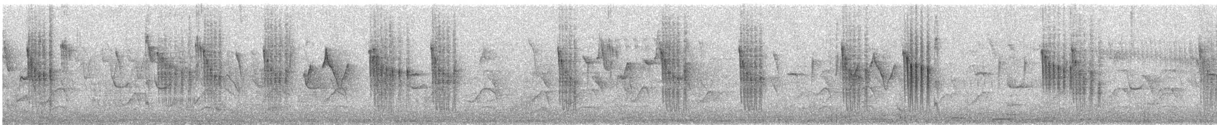 Orite à gorge blanche - ML338894241