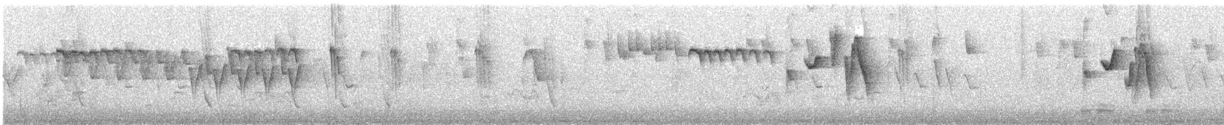 Orite à gorge blanche - ML338894251