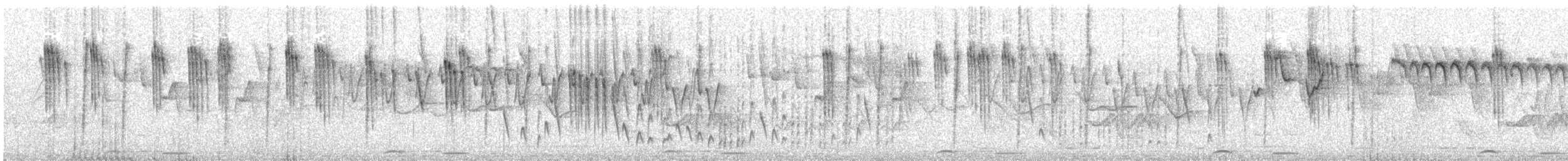 Orite à gorge blanche - ML338898701