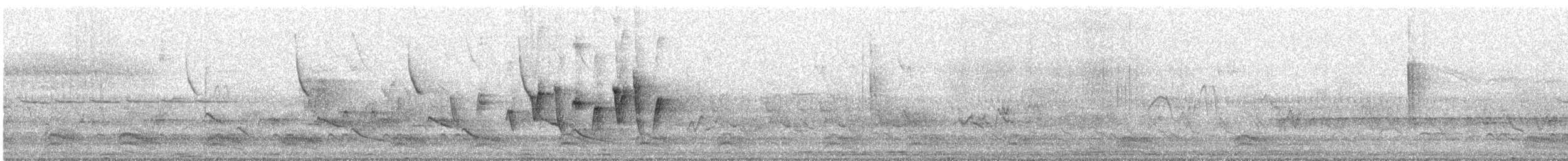 Augenring-Waldsänger - ML338917241