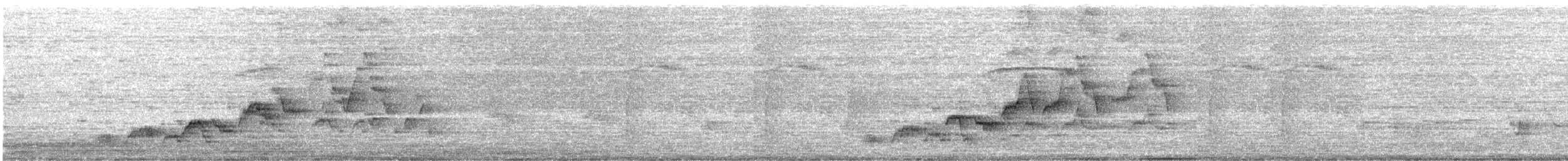 Дрізд-короткодзьоб Cвенсона - ML338987661