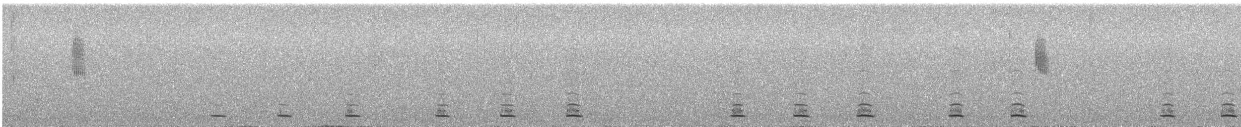Сичик-горобець гірський (підвид gnoma) - ML339003461