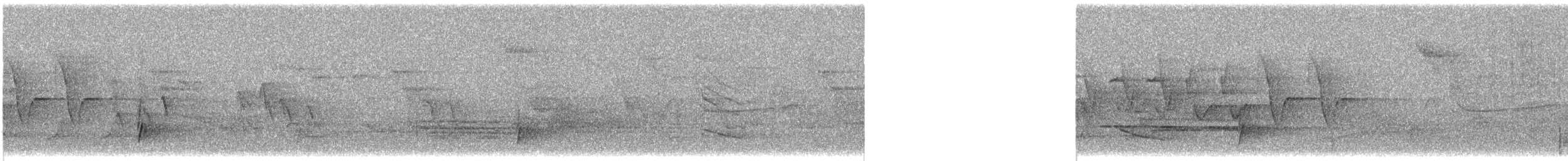 Дрізд-короткодзьоб Cвенсона - ML339005791
