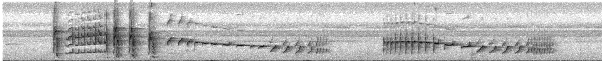 Black-tailed Leaftosser - ML339074921