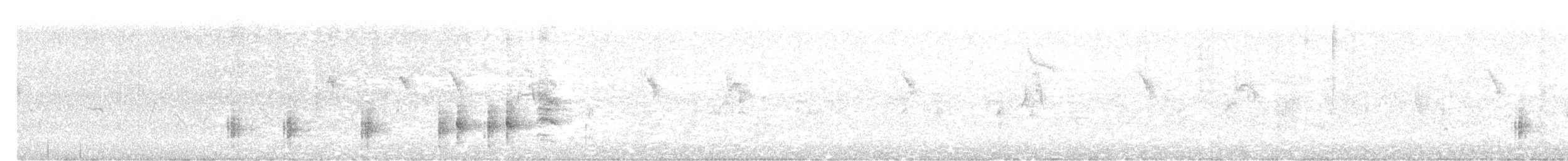 Great Reed Warbler - ML339079001