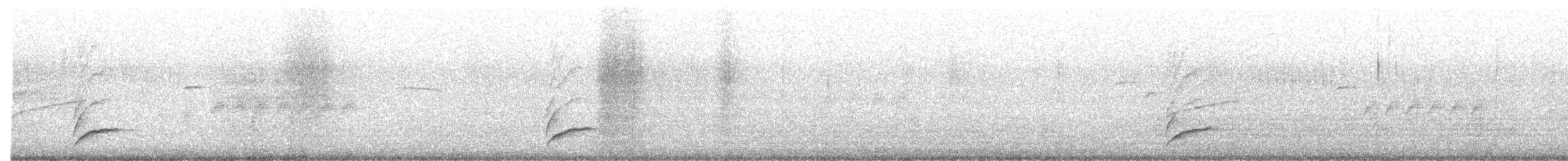 Дрізд-короткодзьоб Cвенсона [група ustulatus] - ML339429351