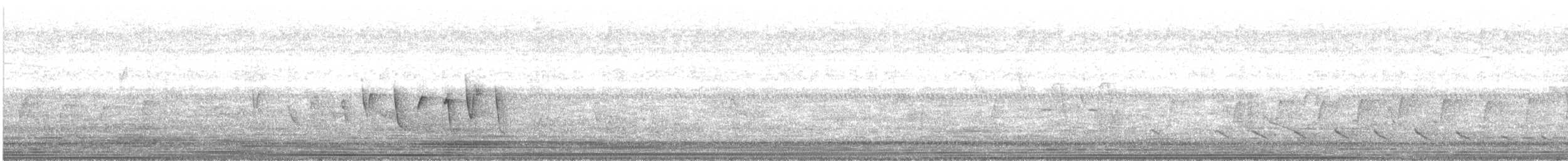Connecticut Warbler - ML339456801