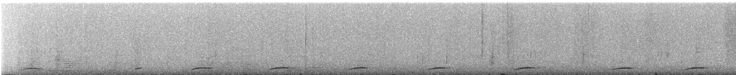 セアカウズラバト - ML339475261