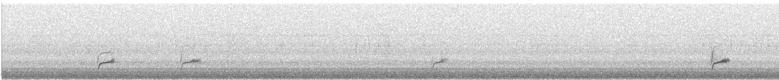 Дрізд-короткодзьоб Cвенсона - ML339522851