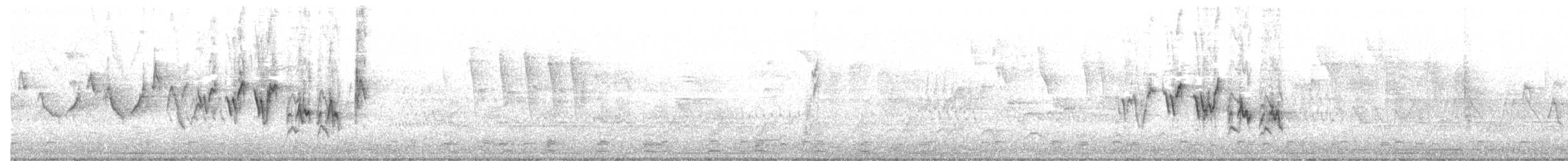 Черногорлая хвойница - ML339551221