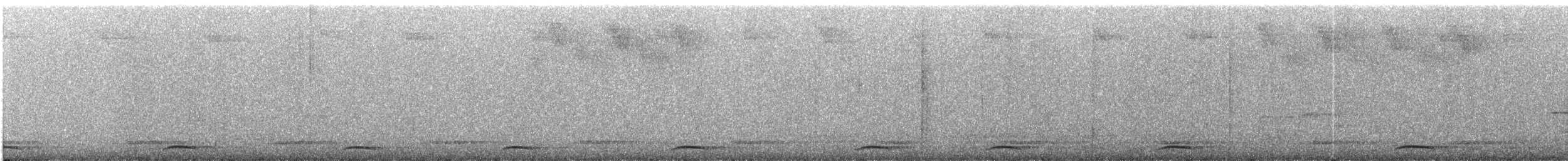 セアカウズラバト - ML339590531