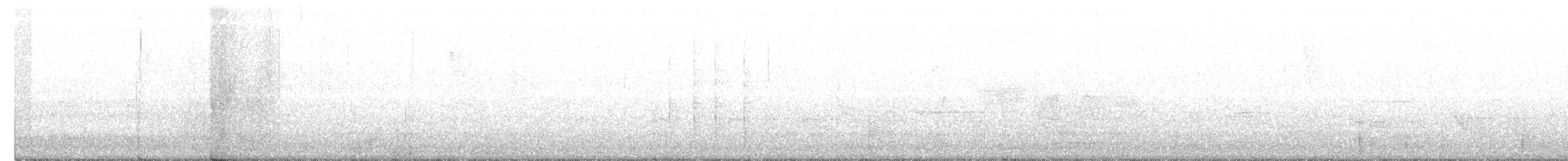 Black-throated Gray Warbler - ML339598021
