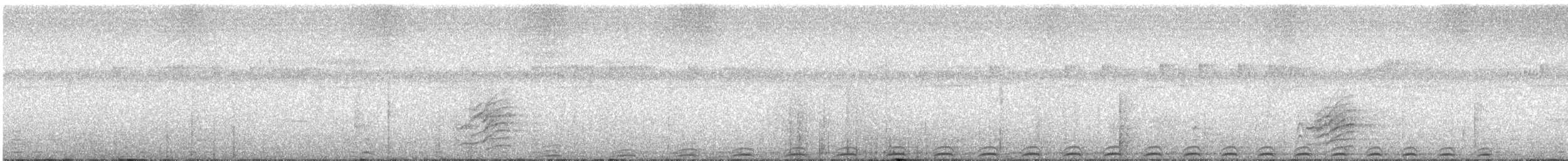 holub žlutopásý - ML33963681