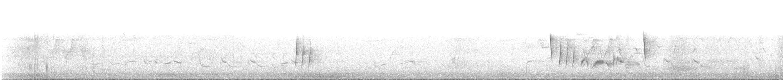 White-eyed Vireo - ML339709621