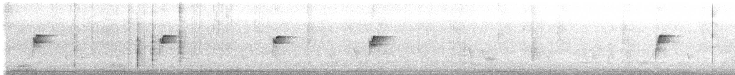 Віялохвістка північна (підвид isura) - ML339747571