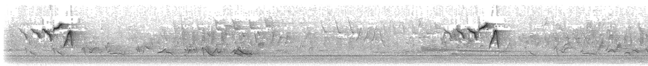 American Redstart - ML339788611