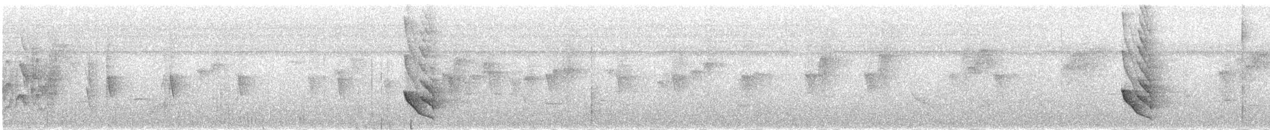 molukklarveeter - ML339890731