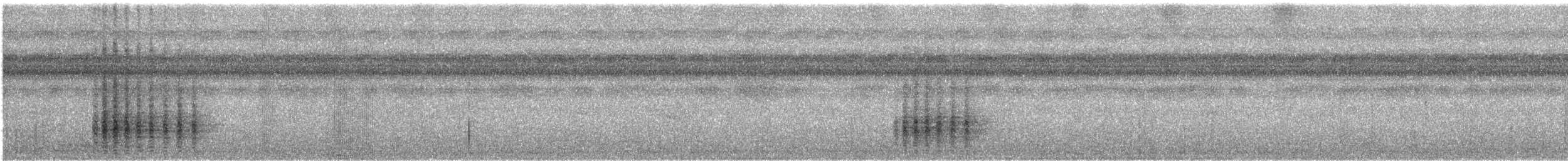 molukklarveeter - ML339890771